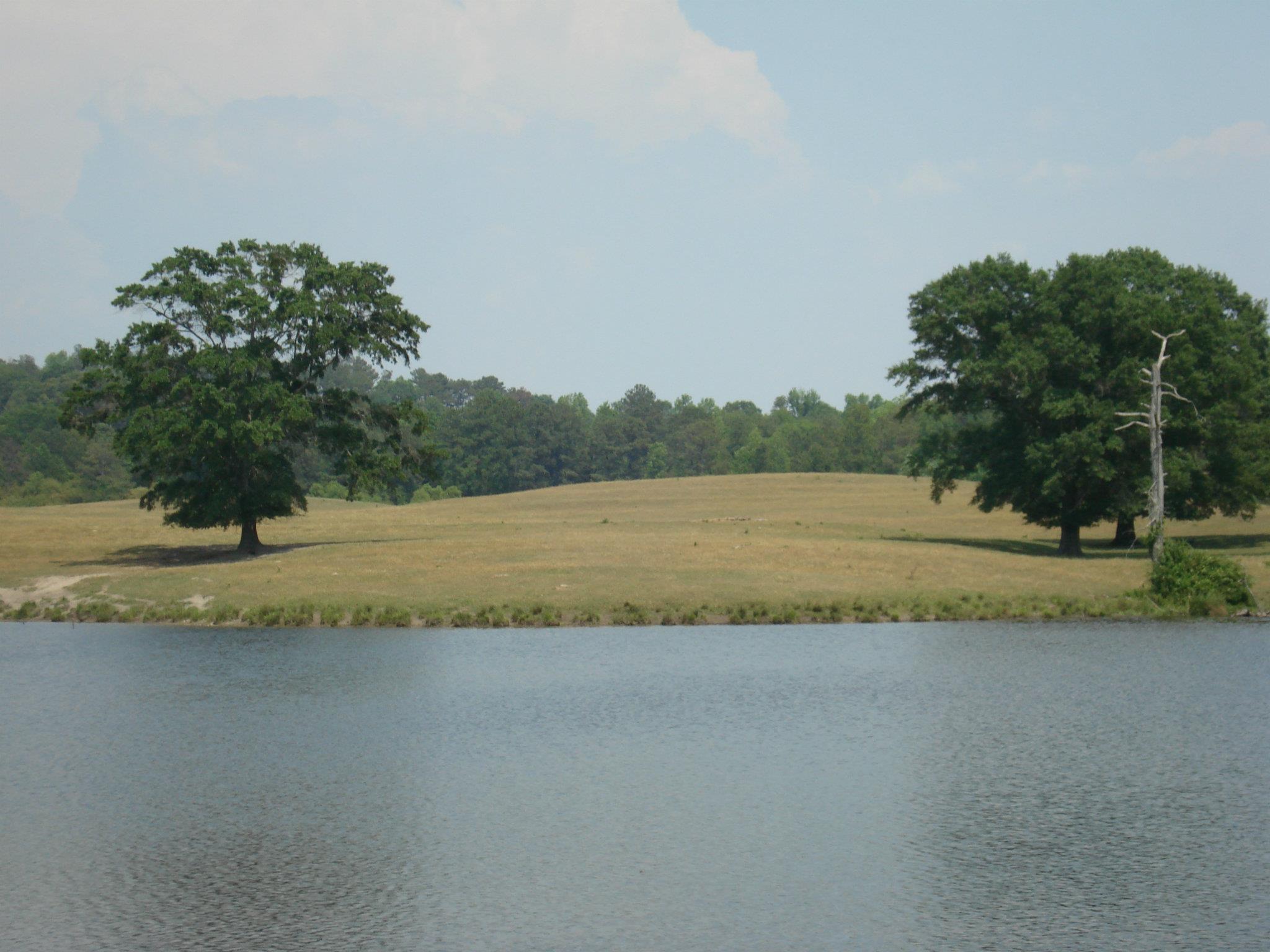 When Buying Rural Land Consider Closing CostCyprus Partners