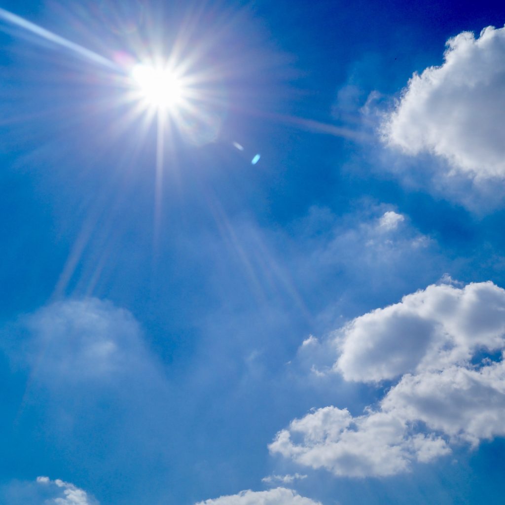 Vitamin D and the Immune System Cyrano