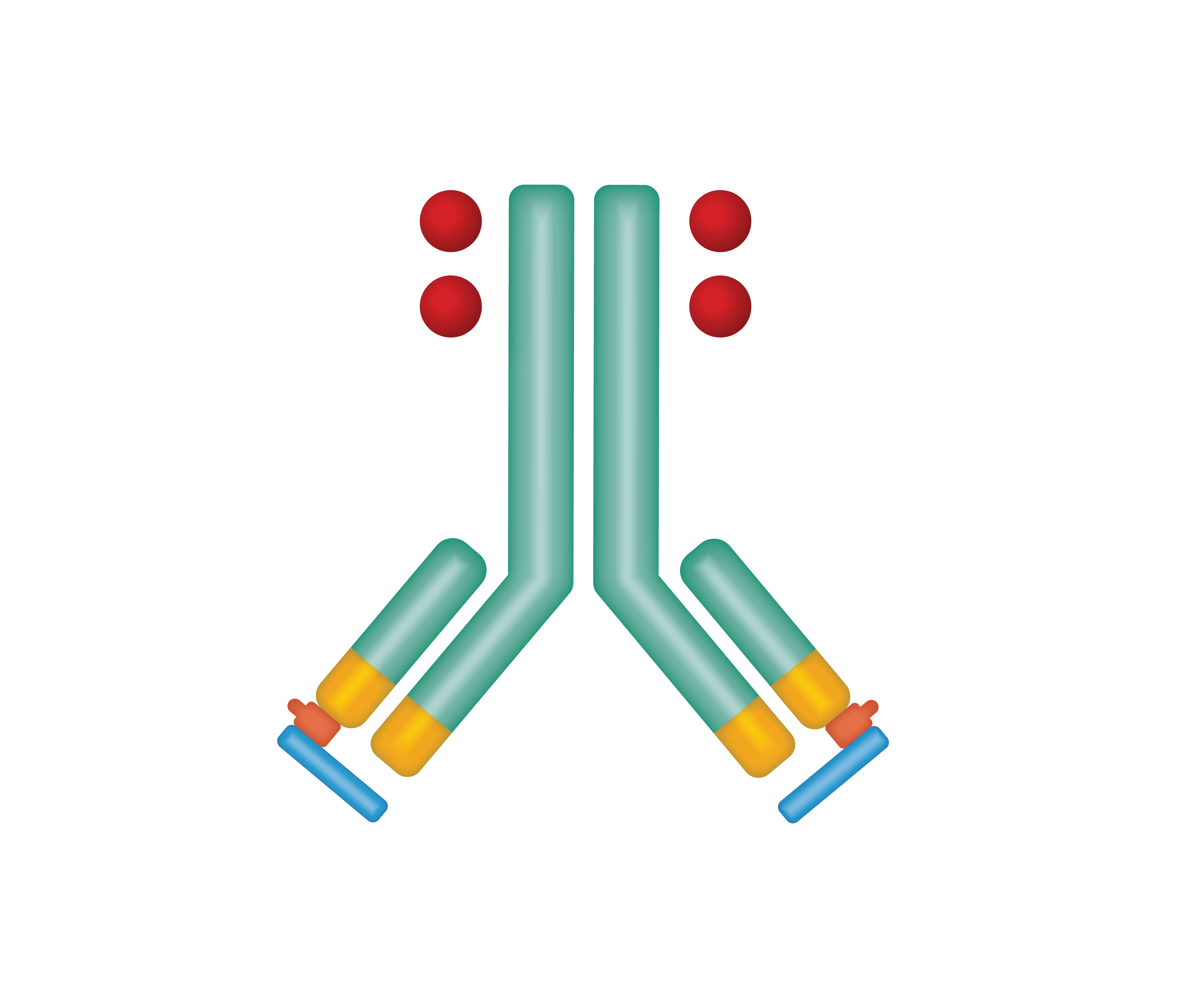 Probody therapeutics CytomX