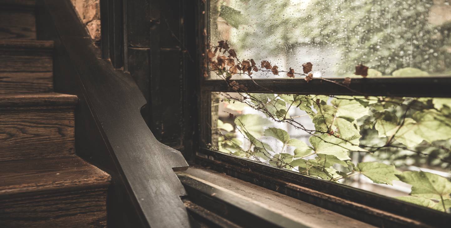 C'zar Salon Spa Elevating Others in Naperville, Bolingbrook, and