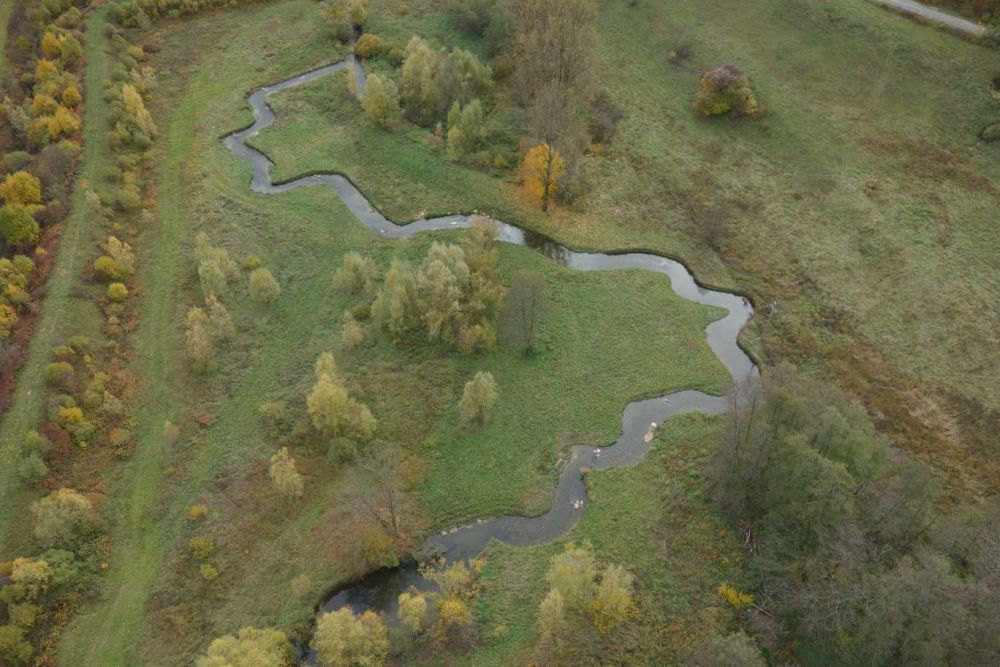 Vue par drone sur le lange reméandré par Dynamique Hydro un an après les travaux