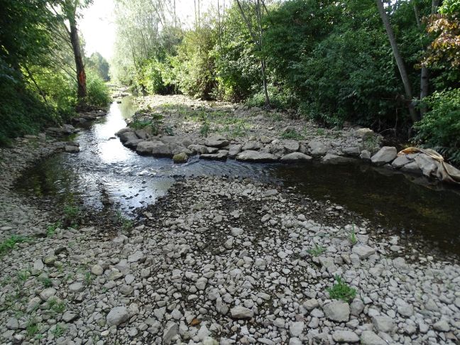 LANGE - Réhabilitation écologique : vue sur des banquettes