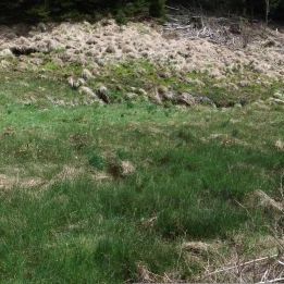 Panorama de la zone humide