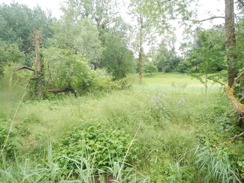 TATTES - vue de la zone humide du marais des Tattes