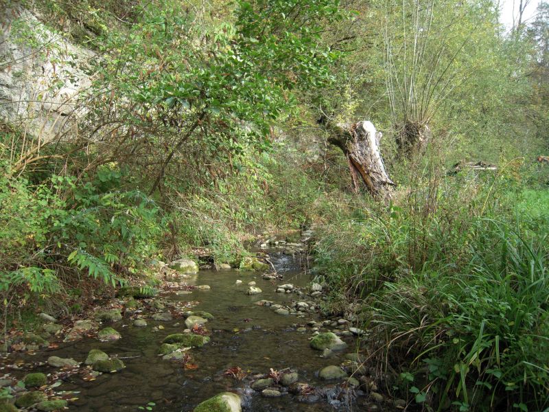 Fiches actions : vue de la rivière Usses