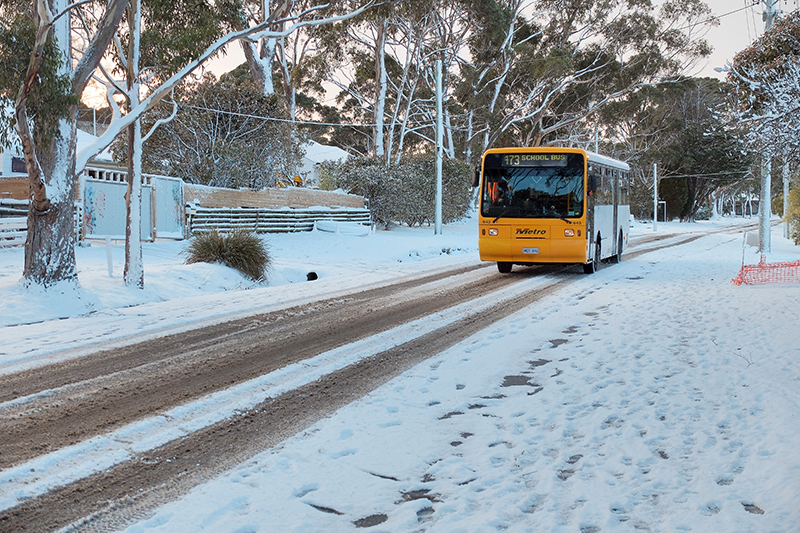 Snowbart A Winter Wonderland on Mount Nelson in Tasmania Czeching