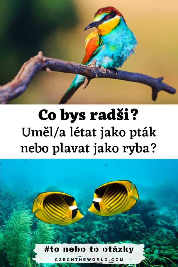 To nebo to 275 nejlepších otázek legendární hra buď a nebo