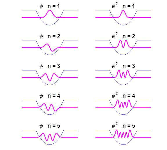 Fig. 2. The wavefunctions and probability density functions for the