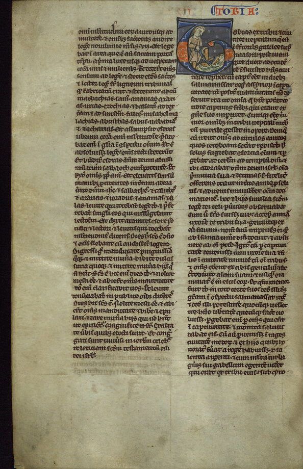 Discover What the Bible Says About Body Image