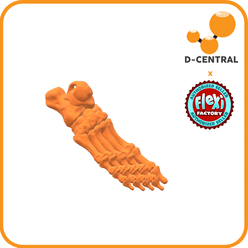 Flexi Factory Skeleton Foot Keychain DCentral
