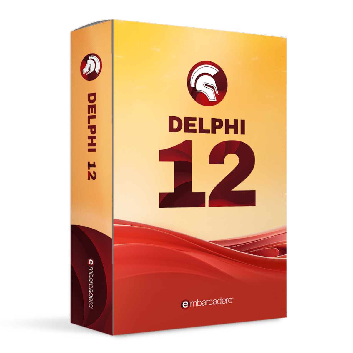 Delphi in Romania partener autorizat Dimensional Data