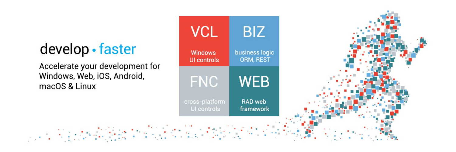 TMS Software Dimensional Data Romania