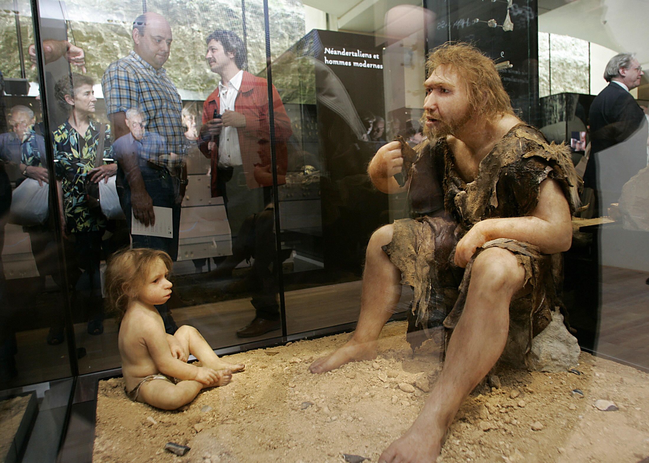 What Will Humans Look Like 10,000 Years From Now? IBTimes