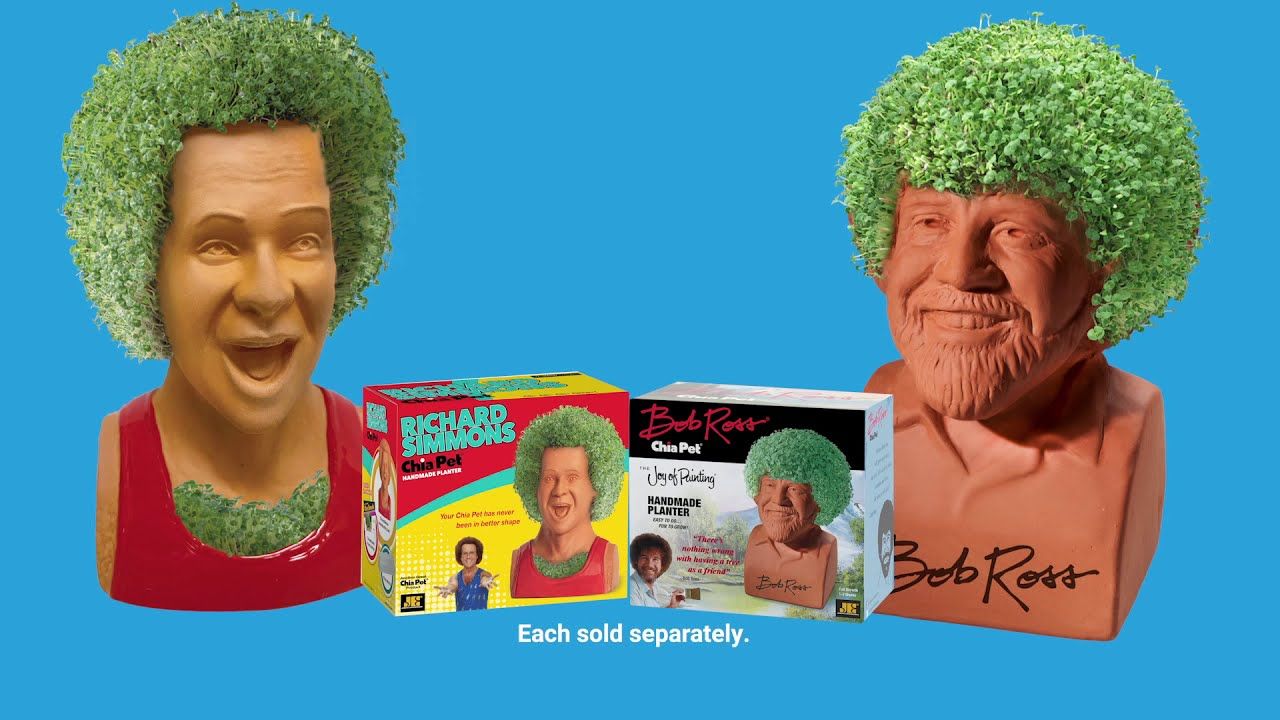 10 Funny, Cute Chia Pets For Kids On Amazon IBTimes