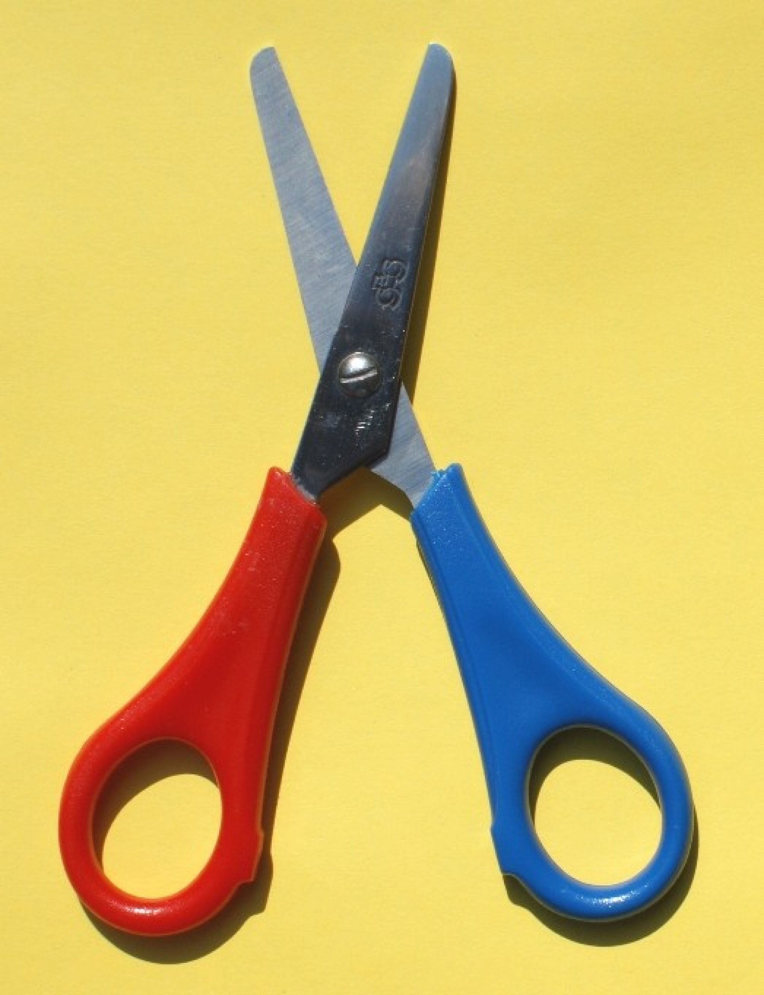 10 Items You Didn?t Know You Could Take On An Airplane IBTimes