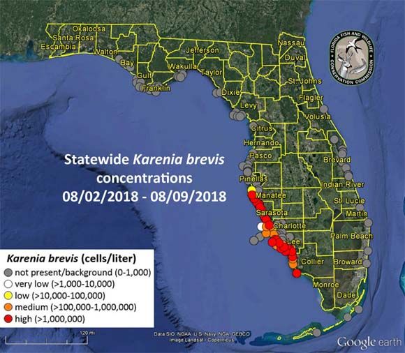 Map Of Florida Red Tide