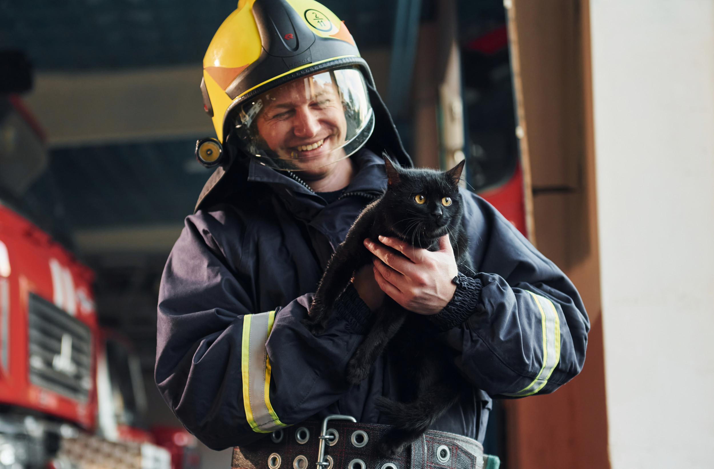 Firefighters' Efforts to Save 13 Cats From Burning Building Go Viral
