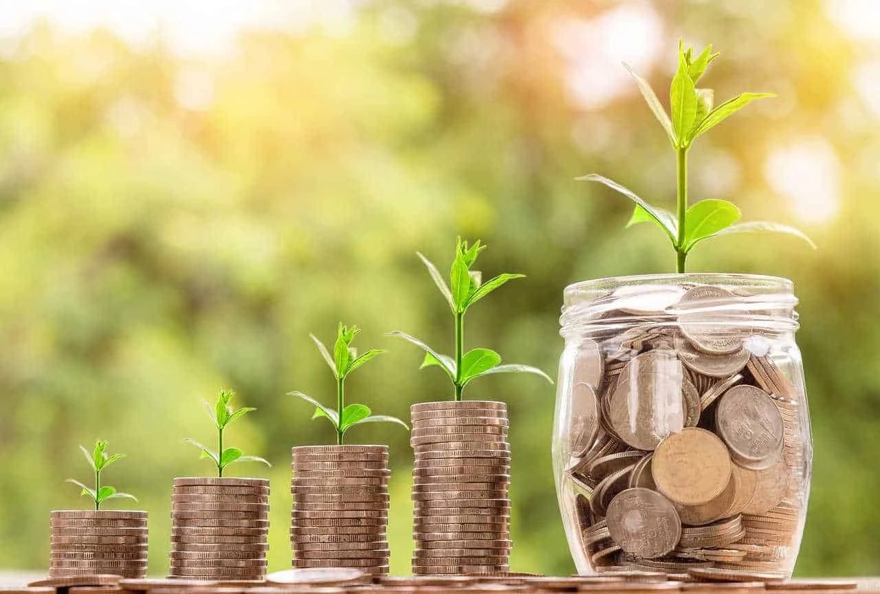 Naspi 2022 Requisiti, Importo, Durata, Calcolo, Sospensione Disoccupazione 864_x_1280_webp