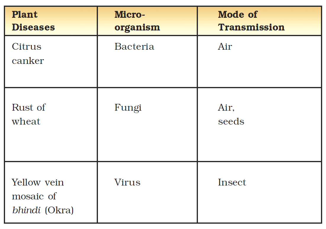 Friend and Foe NCERT Class 8 Science