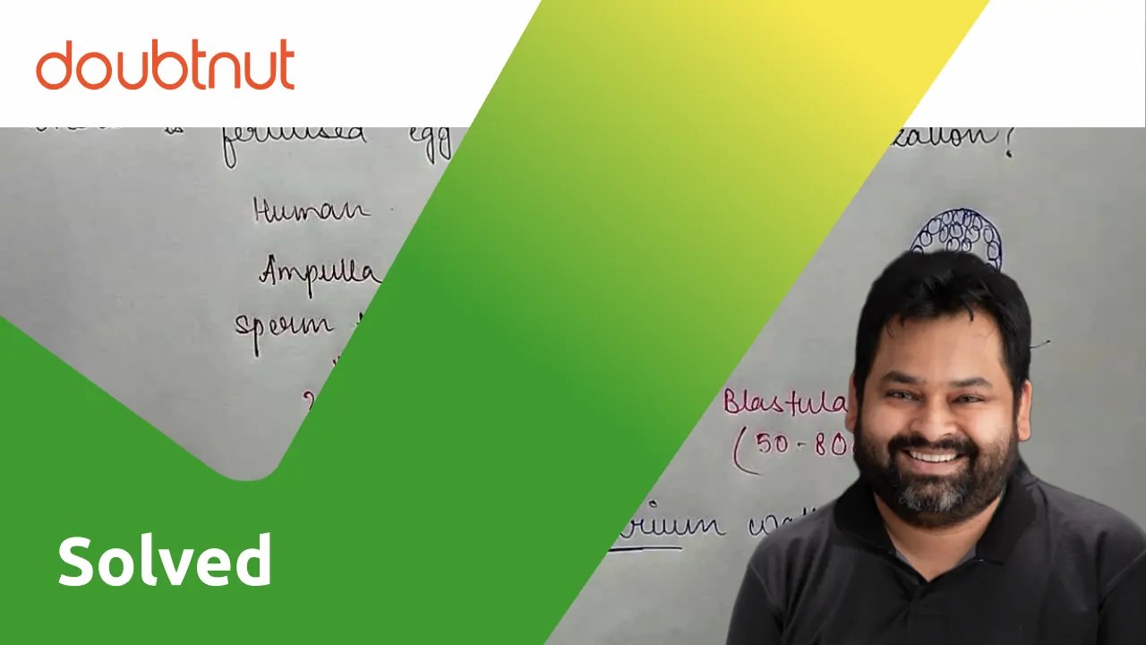 Where is fertilized egg implanted after fertilization?