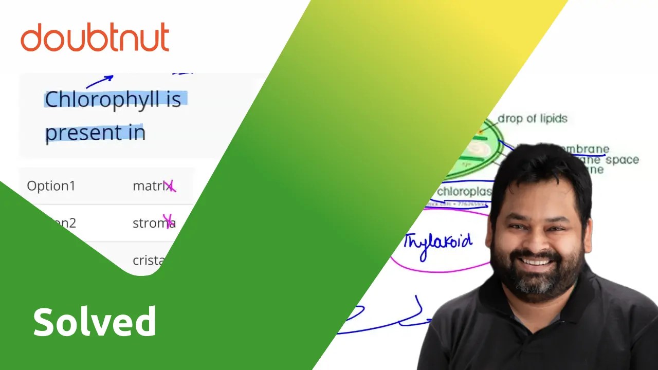 Chlorophyll is present in