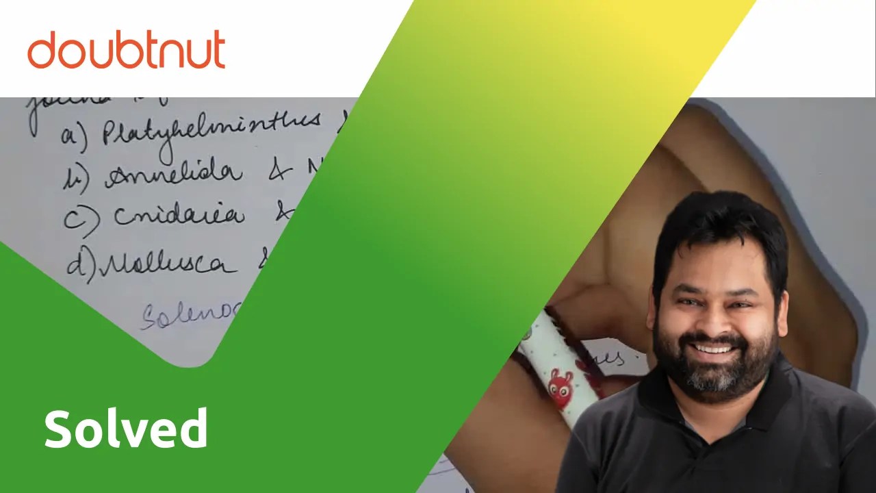 Solenocytes and nephridia are respectively found in