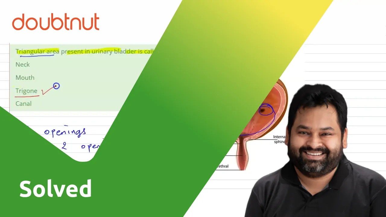[Marathi Solution] Triangular area present in urinary bladder is calle