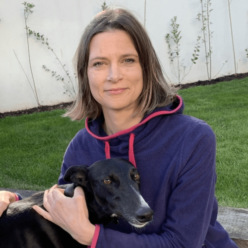 Why is my dog’s tail limp Petsure