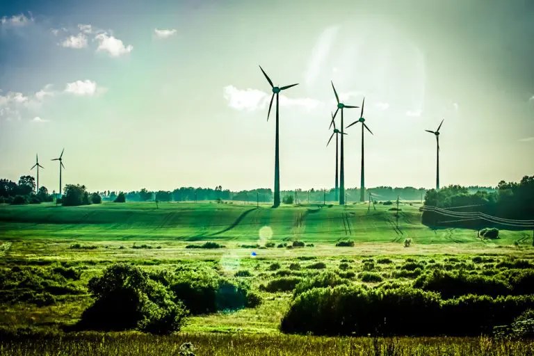 Opus Business Energy (2021) Prices, Plans and Reviews Switch Plan