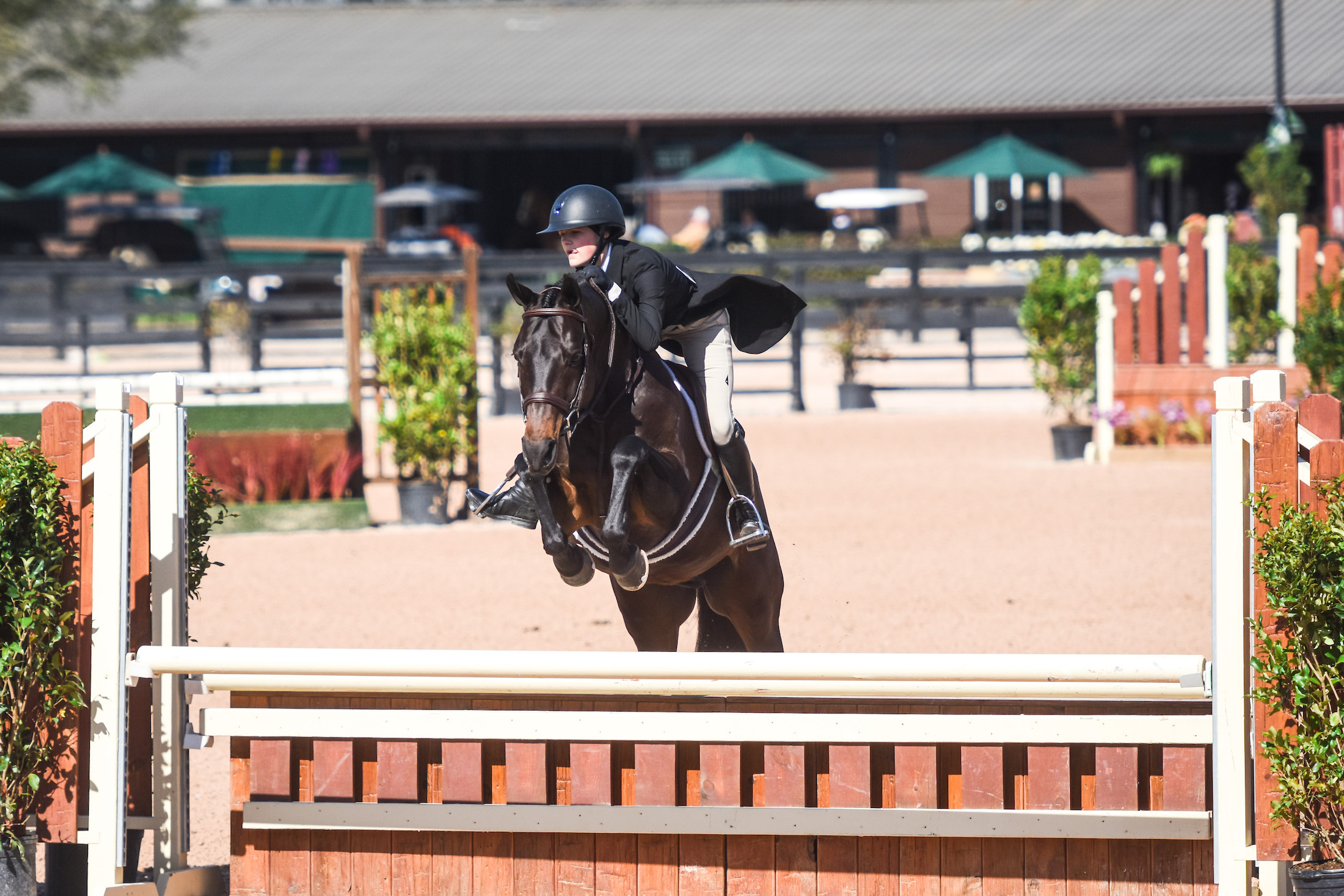 Eleese Shillingford Bests Senior Crowd for 5,000 USHJA National Hunter