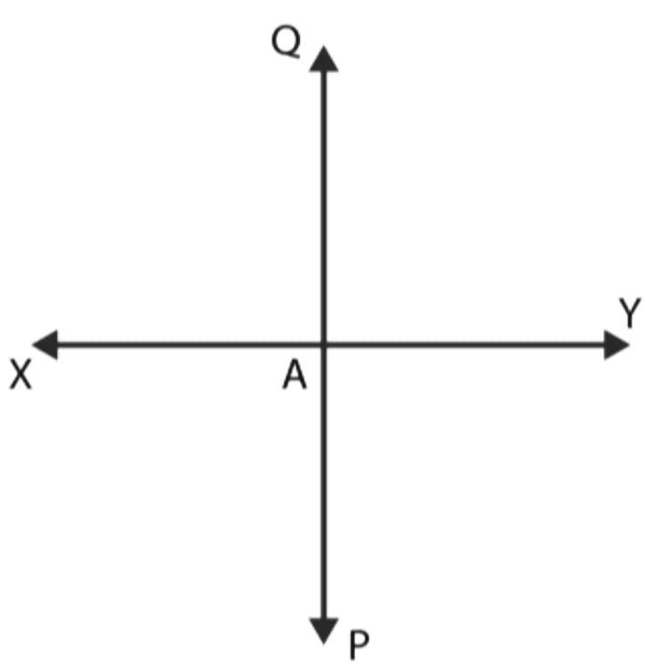 Let PQ be perpendicular to the line segment XY. Let PQ and XY intersect