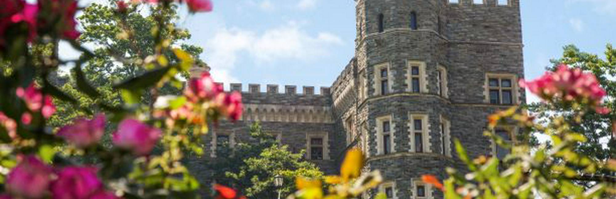 College of Arts and Sciences Arcadia University Graduate Programs Niche