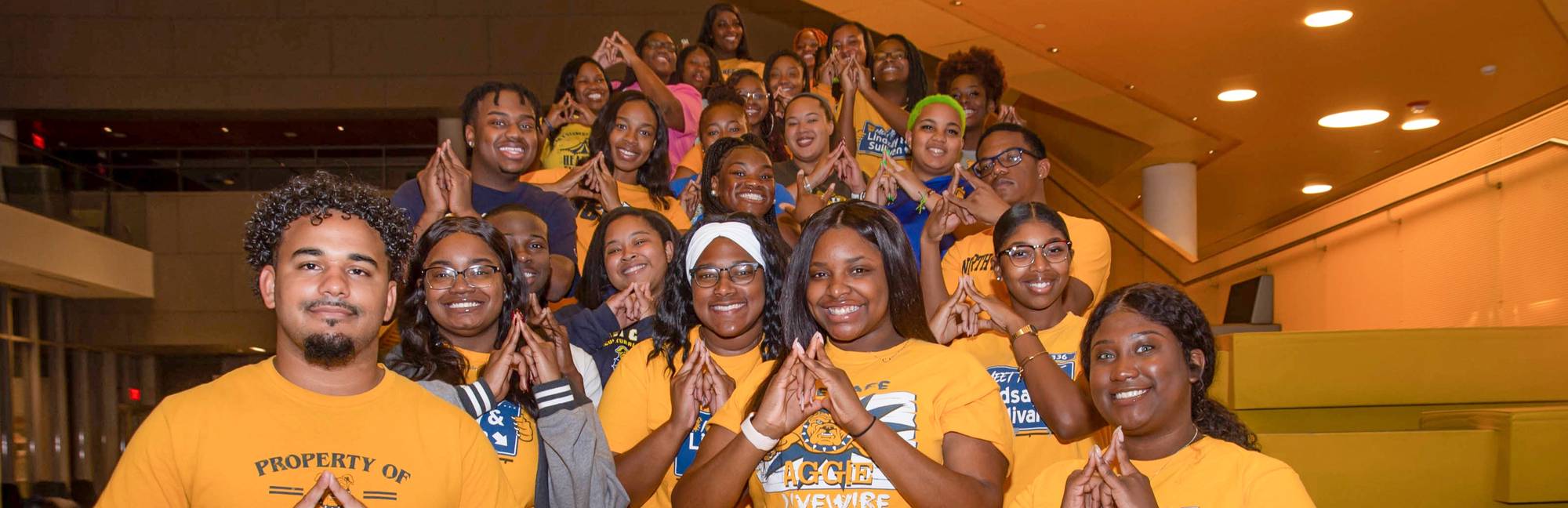 North Carolina A&T State University Niche