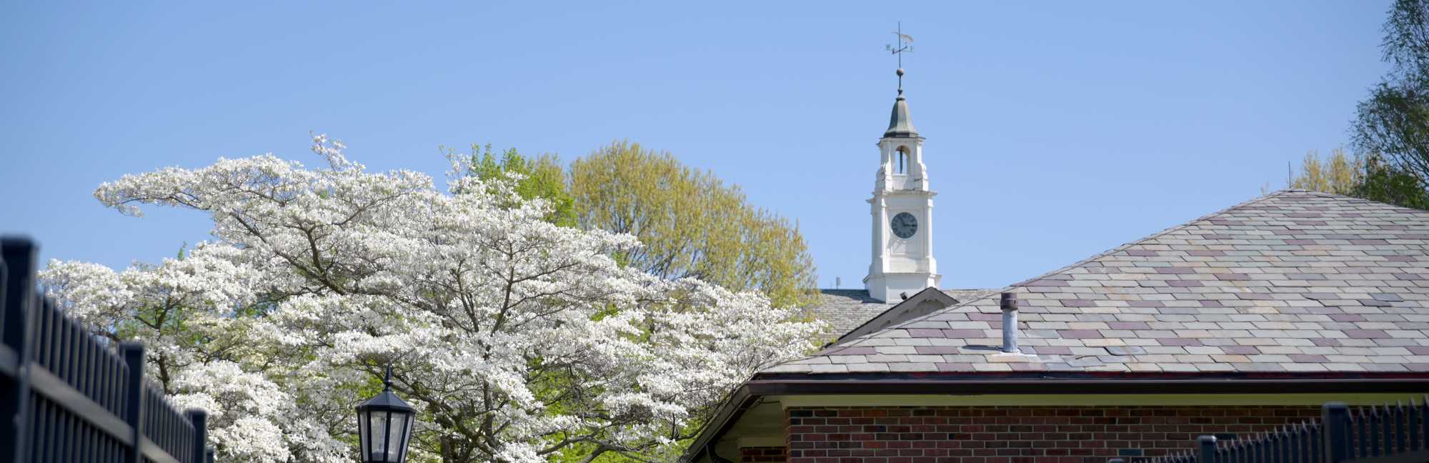 Tower Hill School in Wilmington, DE Niche