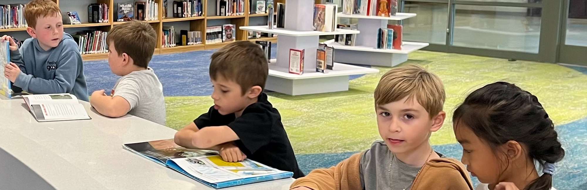 Fountain Hills Unified School District Arizona Niche