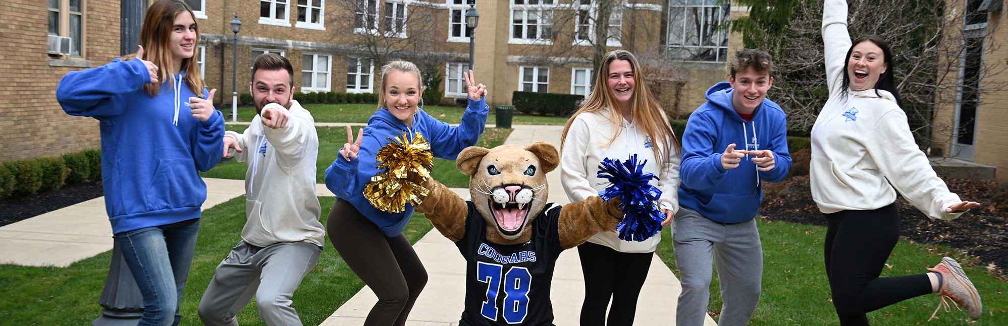 Misericordia University Niche