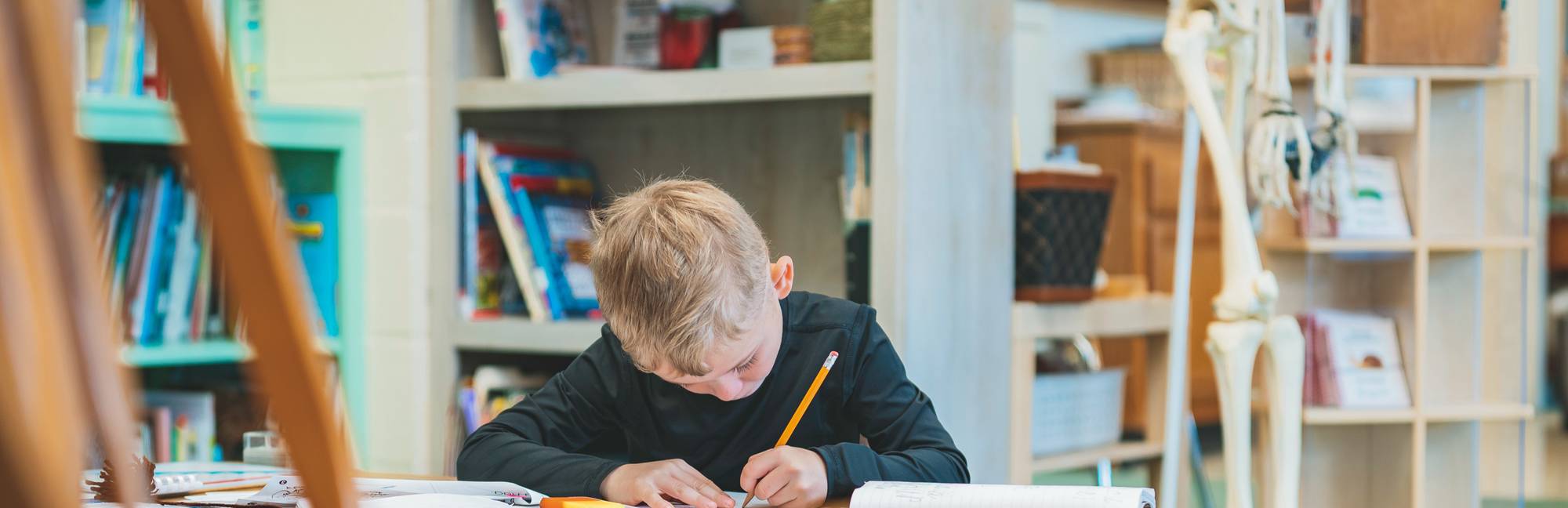 Christian Montessori School of Ann Arbor in MI Niche