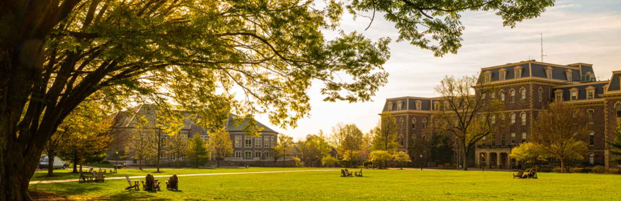 Lafayette College Niche