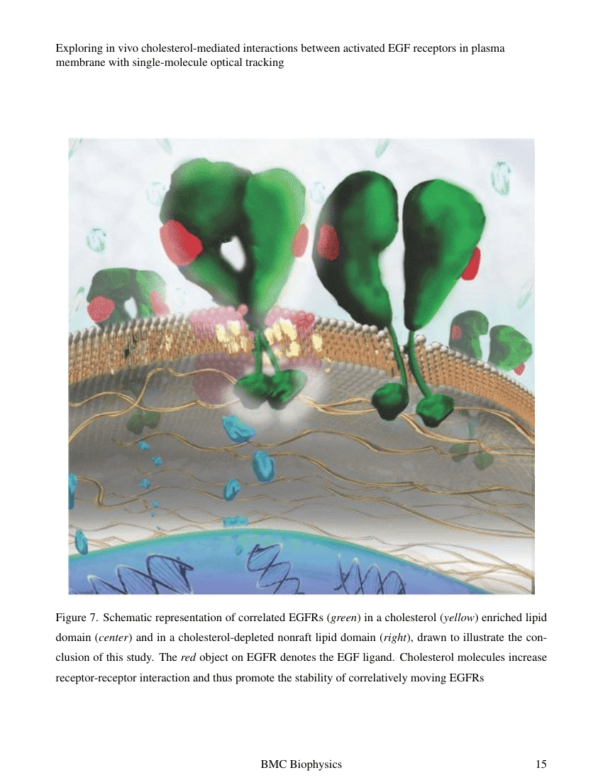 The Journal of Plant Protection Sciences Template Association for