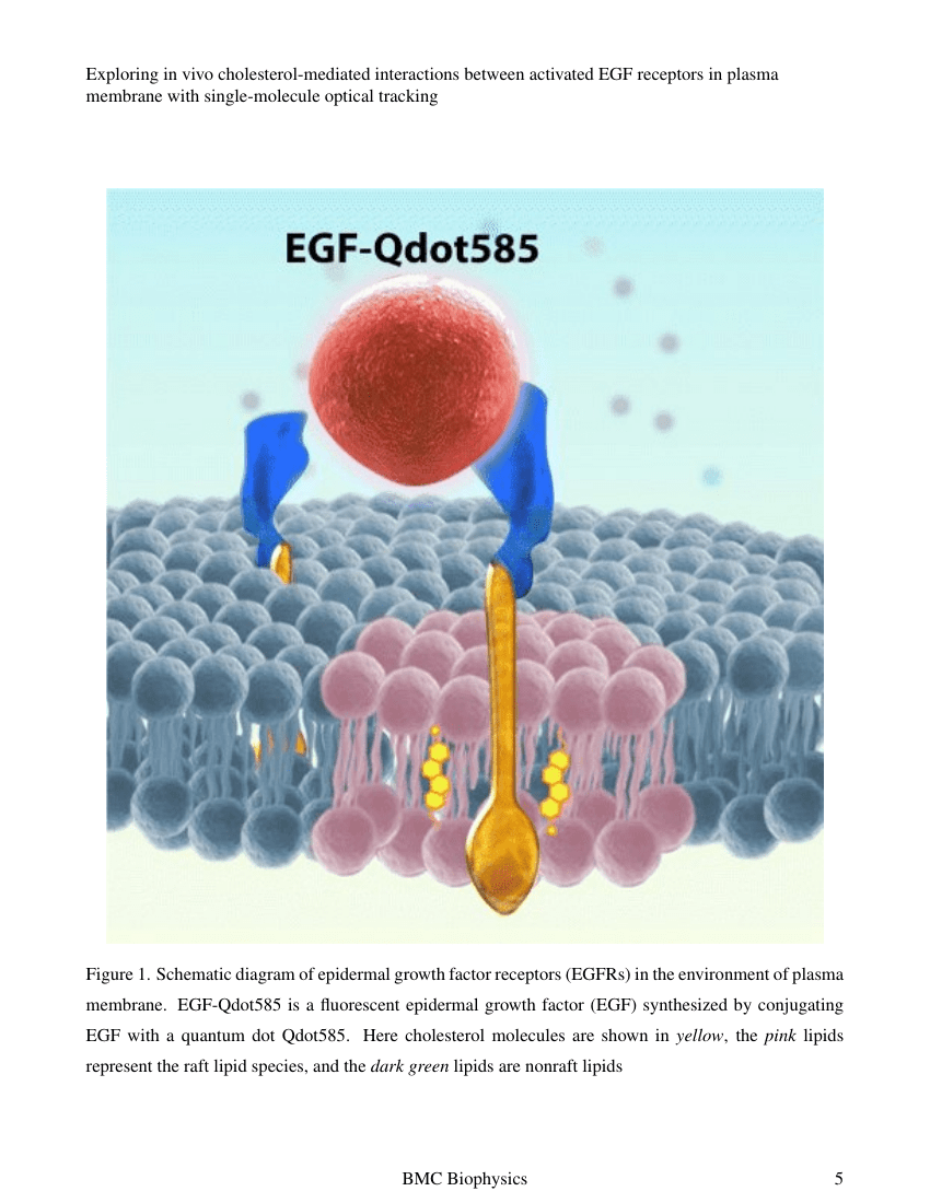 The Journal of Plant Protection Sciences Template Association for