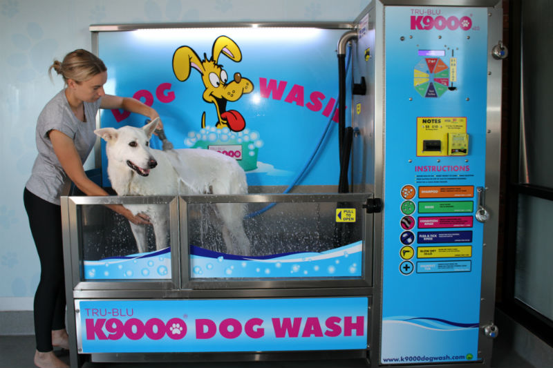 Dog washing station firm to celebrate opening U.S. HQ in Wilmington