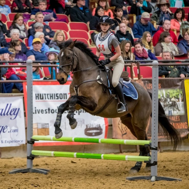 Media Archive Midwest Horse Fair