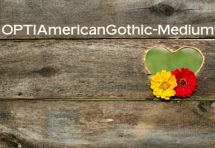 OPTIAmericanGothicMedium Font