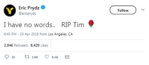 Avicii Meninggal Dunia, Musisi Dunia Banjiri Twitter dengan Duka Cita