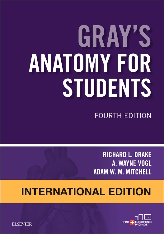 Gray's Anatomy for Students International Edition Edition 4 By