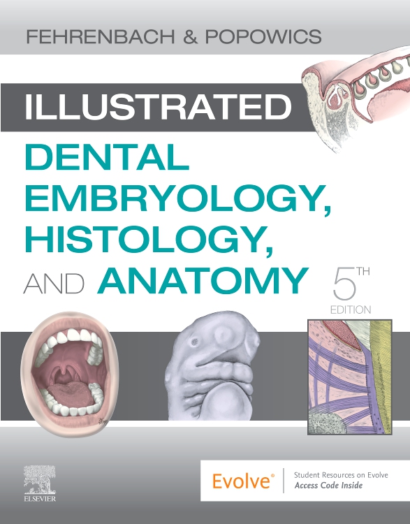 Illustrated Dental Embryology, Histology, and Anatomy Edition 5 By Margaret J. Fehrenbach