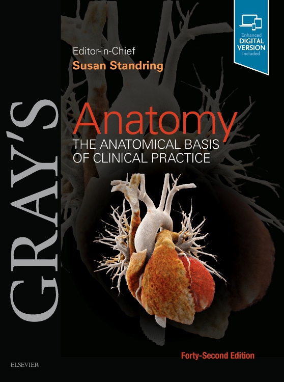 Gray's Anatomy Edition 42 Edited by Susan Standring, PhD, DSc Elsevier Inspection Copies