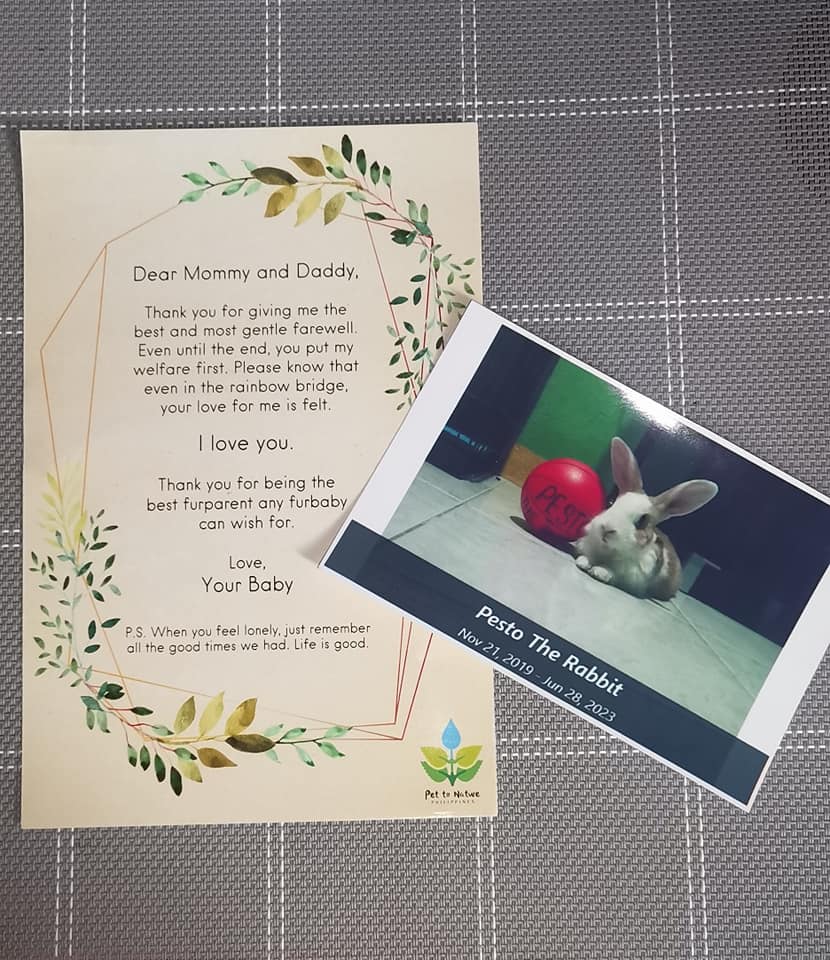 Gallery Pet to Nature Philippines