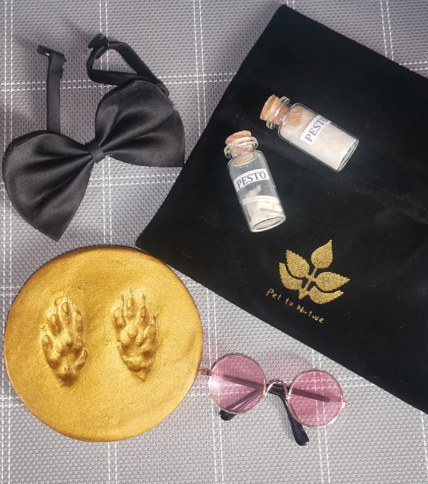 Gallery Pet to Nature Philippines