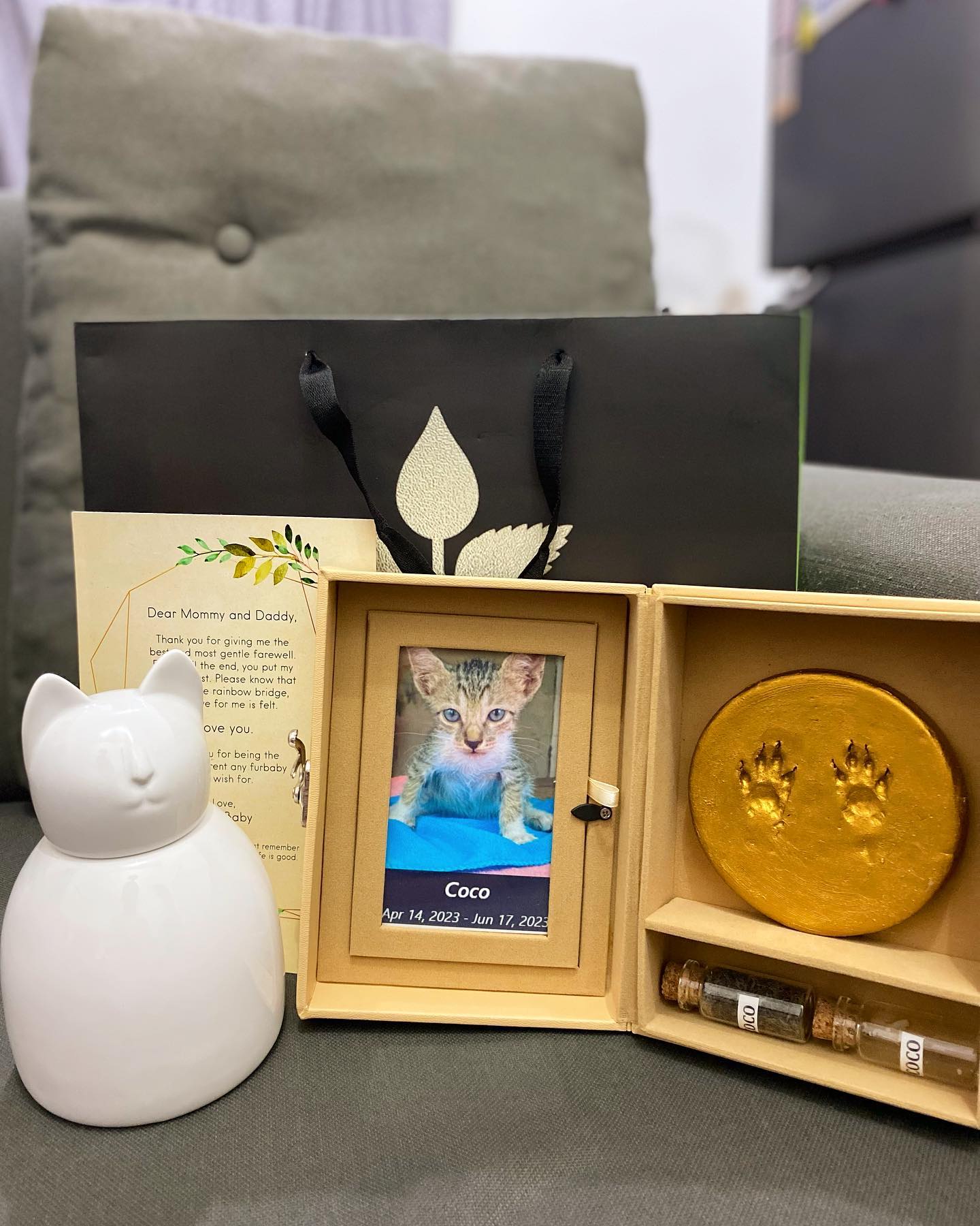 Gallery Pet to Nature Philippines